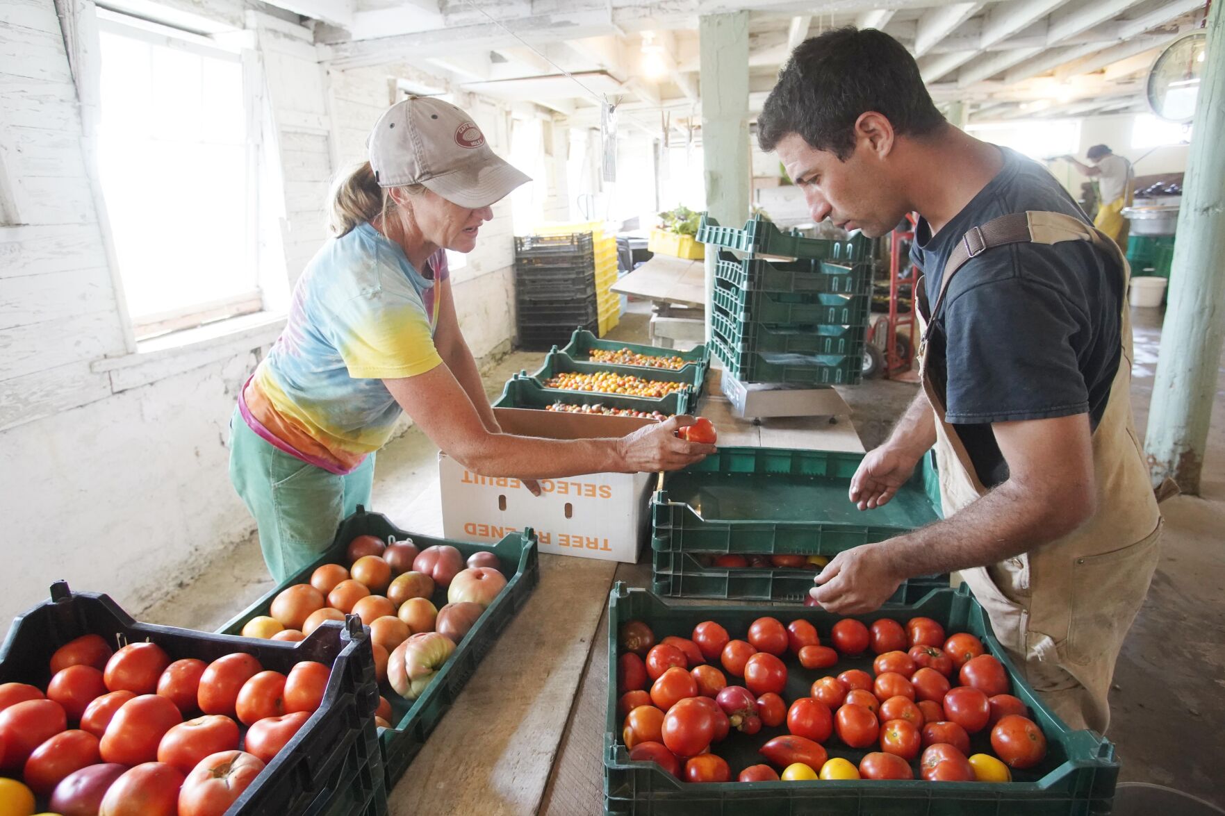INDIANLINEFARM-1.jpg